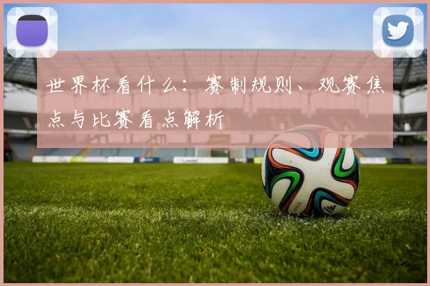 世界杯看什么:赛制规则、观赛焦点与比赛看点解析