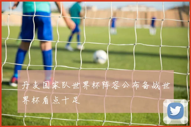 丹麦国家队世界杯阵容公布备战世界杯看点十足
