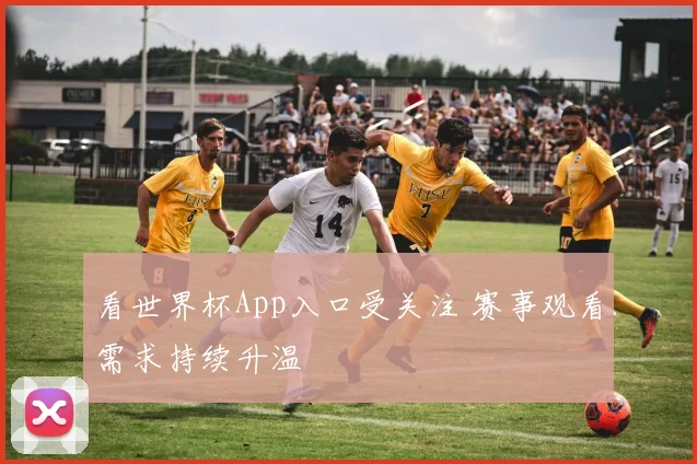 看世界杯App入口受关注 赛事观看需求持续升温