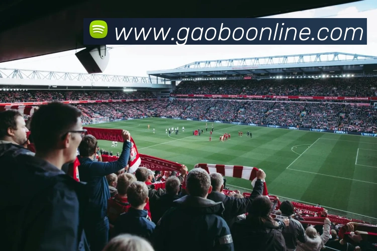 辅助工具 辅助工具